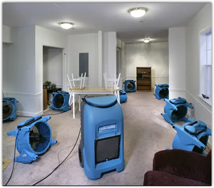 Water Mitigation Services in Indianola, IA