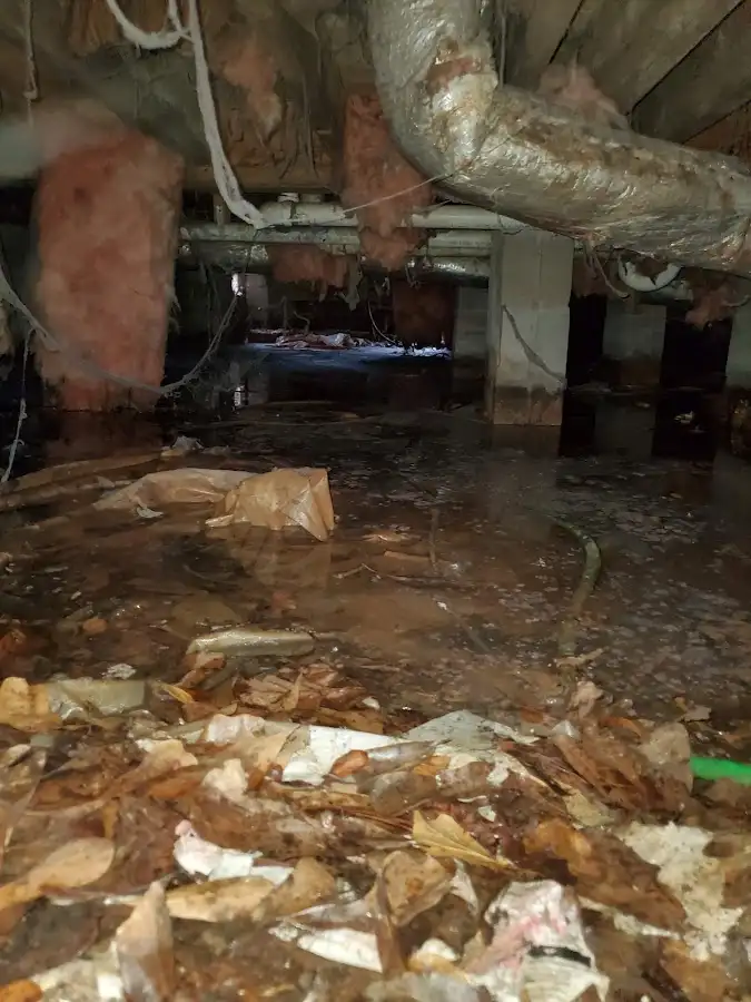 Crawl space flood assessment for Commercial Water Damage Restoration in Indianola