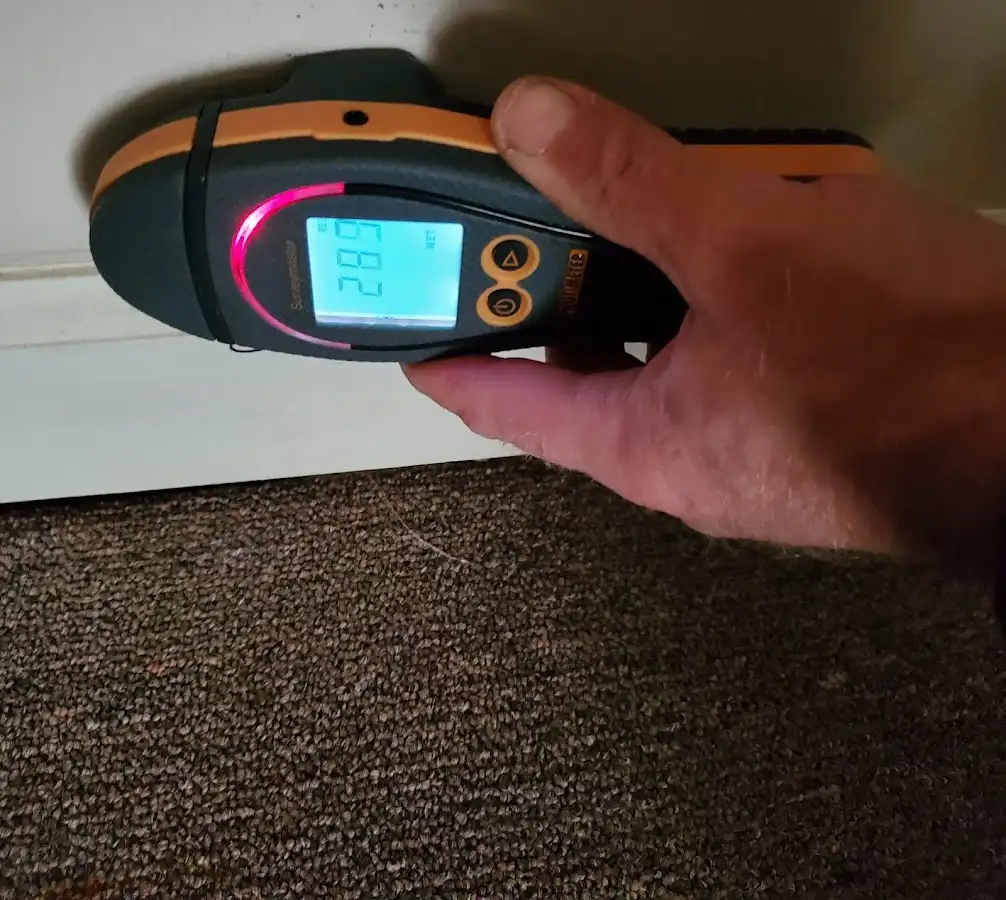 Moisture detection at baseboard during Sewage Cleanup & Sanitation in Indianola